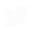 Twitter Icon